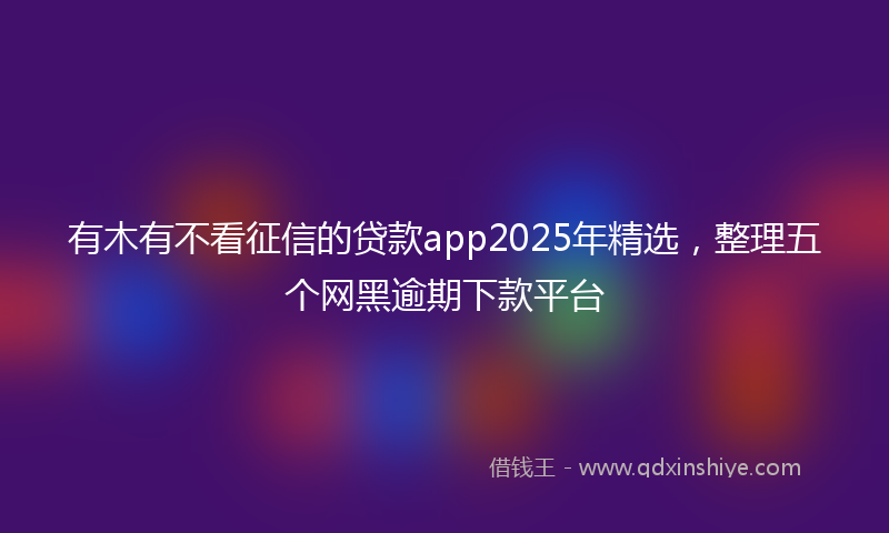 有木有不看征信的贷款app2025年精选，整理五个网黑逾期下款平台