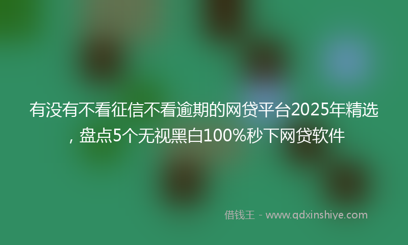 有没有不看征信不看逾期的网贷平台2025年精选，盘点5个无视黑白100%秒下网贷软件