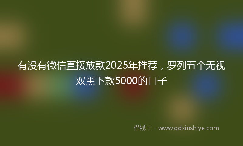 有没有微信直接放款2025年推荐，罗列五个无视双黑下款5000的口子