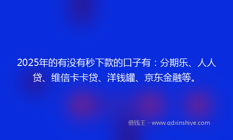 2025年的有没有秒下款的口子有：分期乐、人人贷、维信卡卡贷、洋钱罐、京东金融等。
