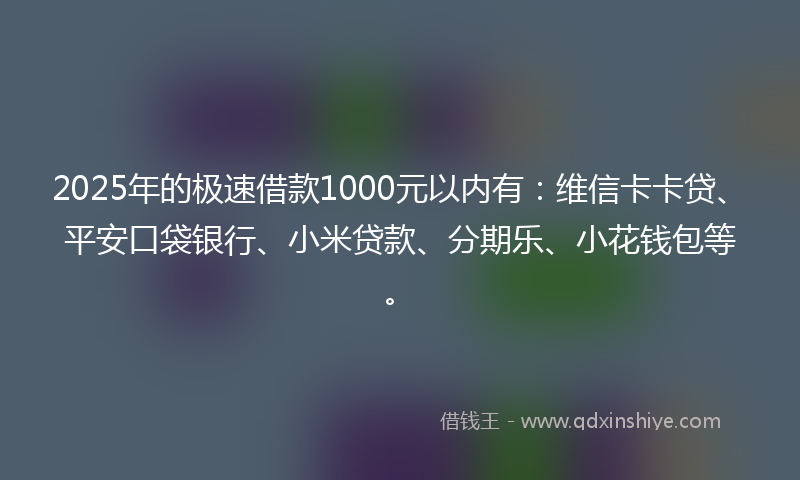 2025年的极速借款1000元以内有：维信卡卡贷、平安口袋银行、小米贷款、分期乐、小花钱包等。