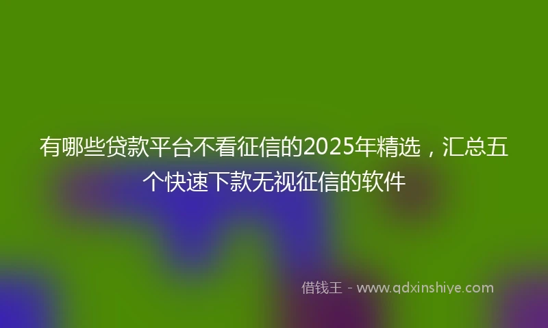 有哪些贷款平台不看征信的2025年精选，汇总五个快速下款无视征信的软件