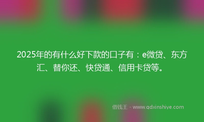 2025年的有什么好下款的口子有：e微贷、东方汇、替你还、快贷通、信用卡贷等。