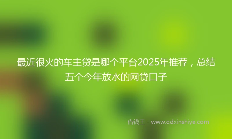 最近很火的车主贷是哪个平台2025年推荐,总结五个今年放水的网贷口子
