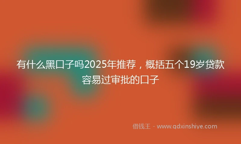 有什么黑口子吗2025年推荐，概括五个19岁贷款容易过审批的口子