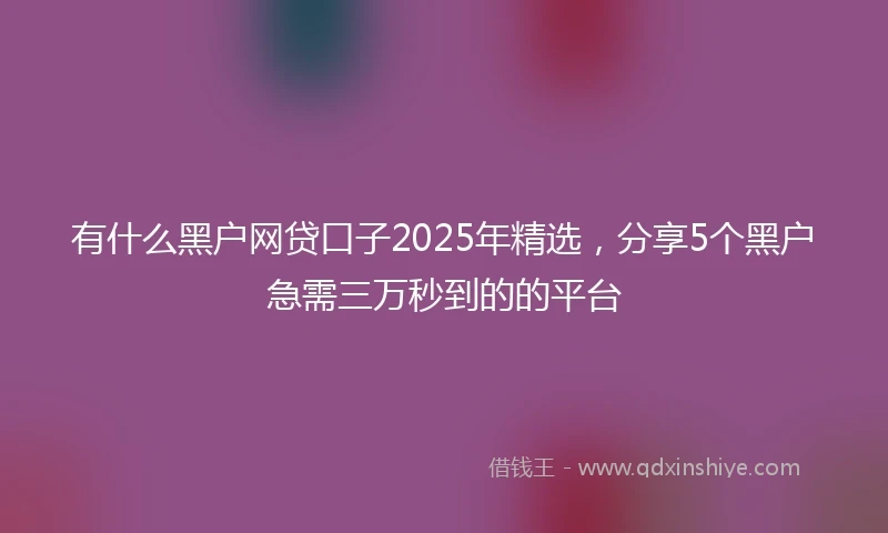 有什么黑户网贷口子2025年精选，分享5个黑户急需三万秒到的的平台