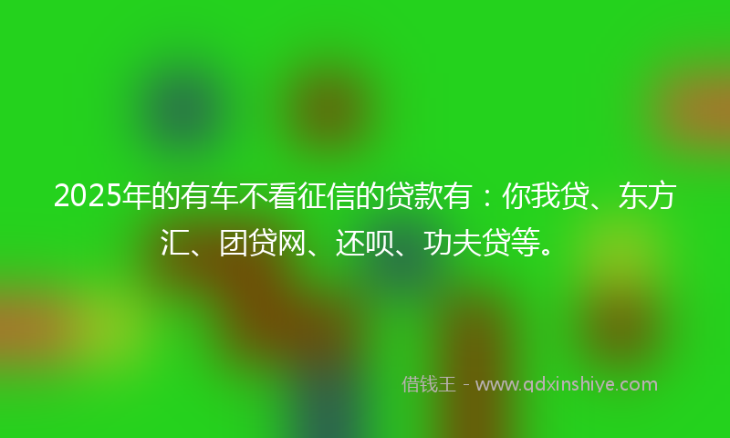 2025年的有车不看征信的贷款有：你我贷、东方汇、团贷网、还呗、功夫贷等。
