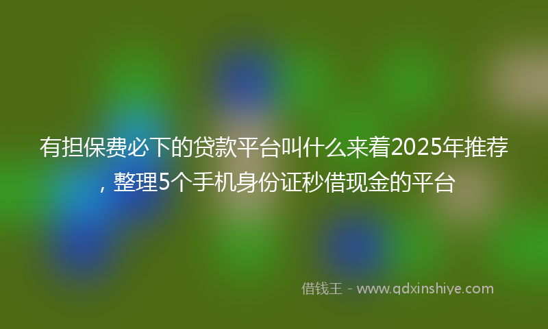 有担保费必下的贷款平台叫什么来着2025年推荐，整理5个手机身份证秒借现金的平台