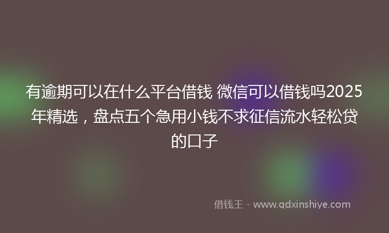 有逾期可以在什么平台借钱 微信可以借钱吗2025年精选，盘点五个急用小钱不求征信流水轻松贷的口子