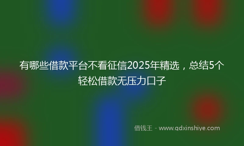 有哪些借款平台不看征信2025年精选，总结5个轻松借款无压力口子