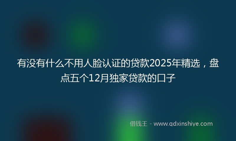 有没有什么不用人脸认证的贷款2025年精选，盘点五个12月独家贷款的口子