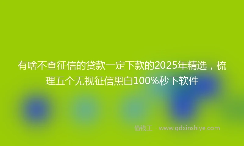 有啥不查征信的贷款一定下款的2025年精选，梳理五个无视征信黑白100%秒下软件