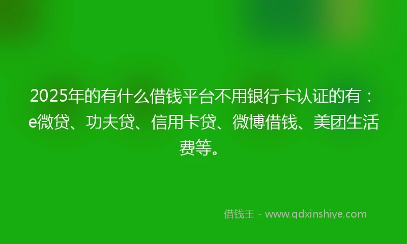 2025年的有什么借钱平台不用银行卡认证的有：e微贷、功夫贷、信用卡贷、微博借钱、美团生活费等。