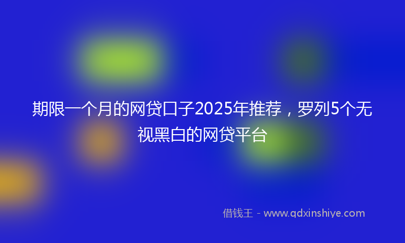 期限一个月的网贷口子2025年推荐，罗列5个无视黑白的网贷平台