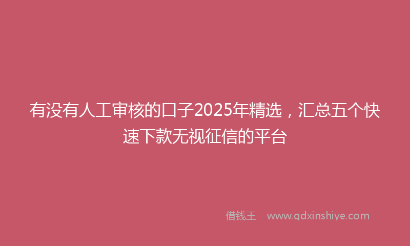 有没有人工审核的口子2025年精选，汇总五个快速下款无视征信的平台