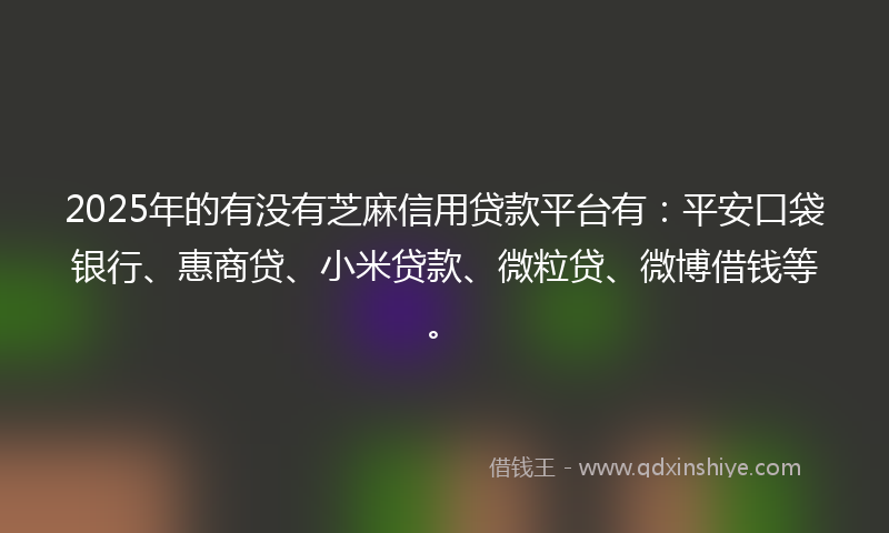 2025年的有没有芝麻信用贷款平台有：平安口袋银行、惠商贷、小米贷款、微粒贷、微博借钱等。