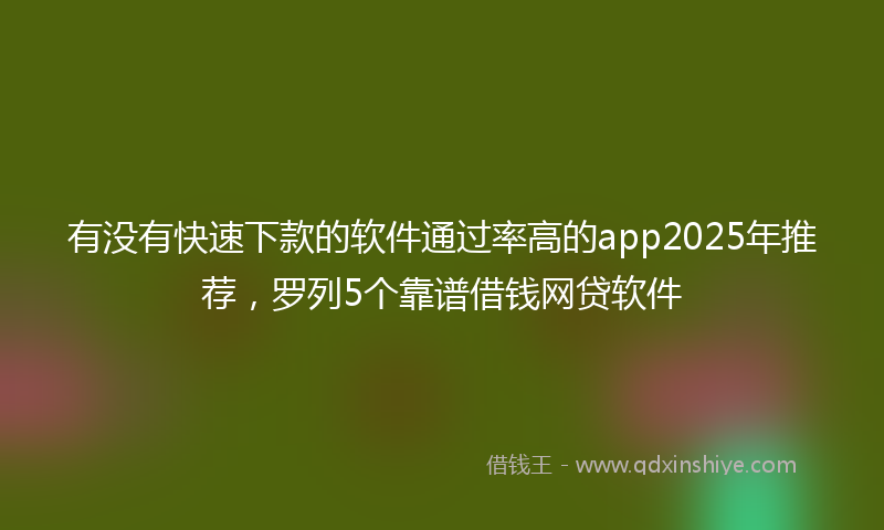 有没有快速下款的软件通过率高的app2025年推荐，罗列5个靠谱借钱网贷软件