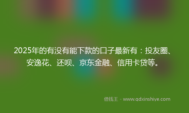 2025年的有没有能下款的口子最新有：投友圈、安逸花、还呗、京东金融、信用卡贷等。