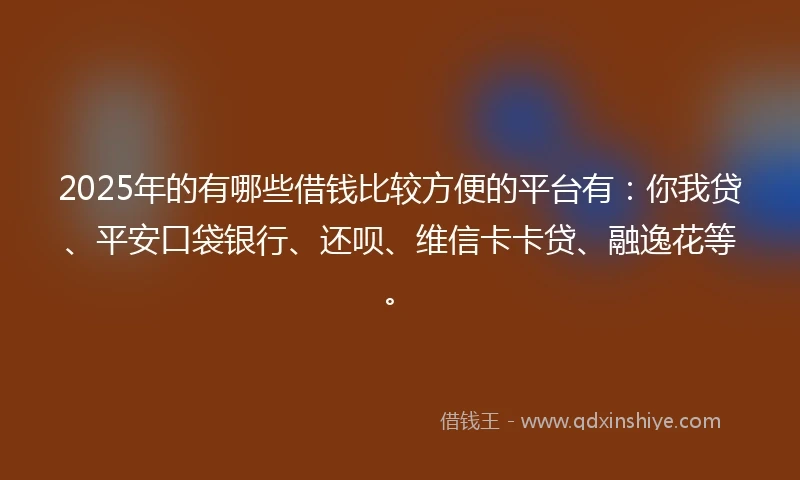 2025年的有哪些借钱比较方便的平台有：你我贷、平安口袋银行、还呗、维信卡卡贷、融逸花等。