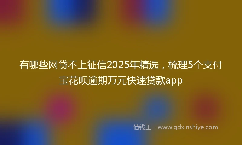 有哪些网贷不上征信2025年精选，梳理5个支付宝花呗逾期万元快速贷款app