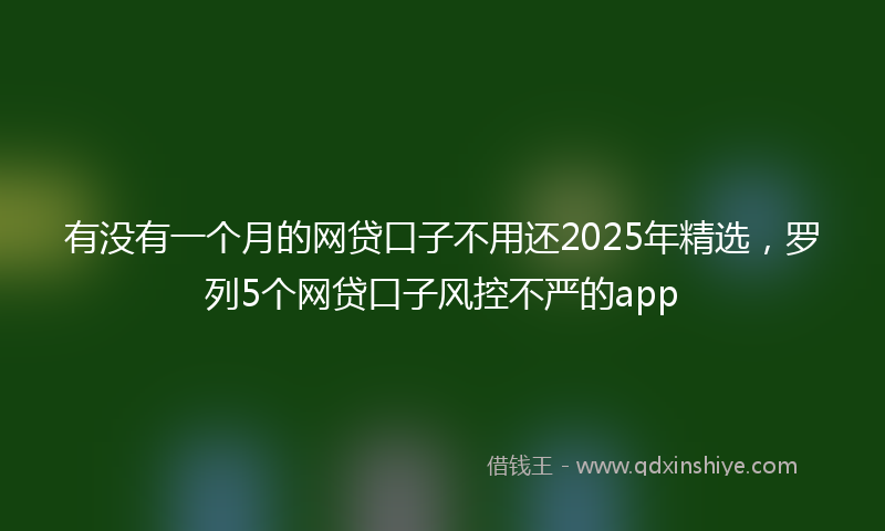 有没有一个月的网贷口子不用还2025年精选，罗列5个网贷口子风控不严的app