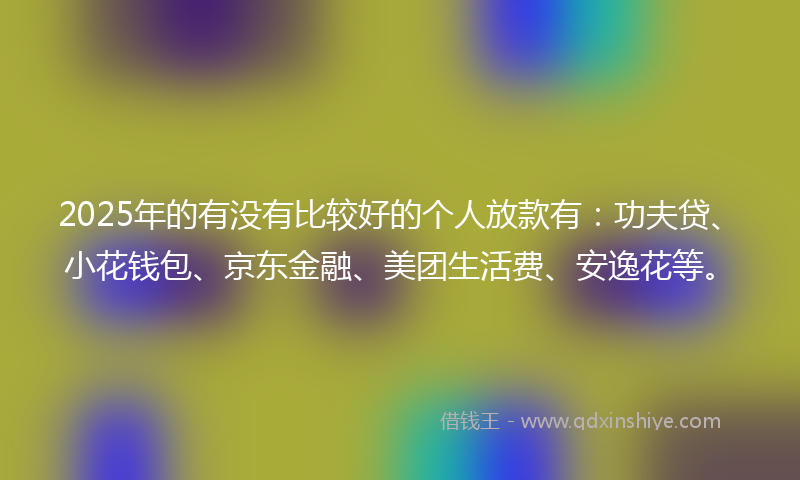 2025年的有没有比较好的个人放款有：功夫贷、小花钱包、京东金融、美团生活费、安逸花等。