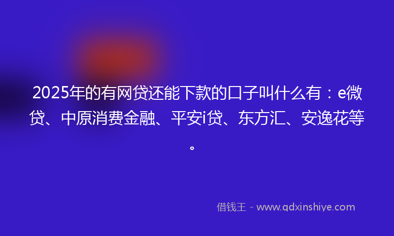 2025年的有网贷还能下款的口子叫什么有：e微贷、中原消费金融、平安i贷、东方汇、安逸花等。
