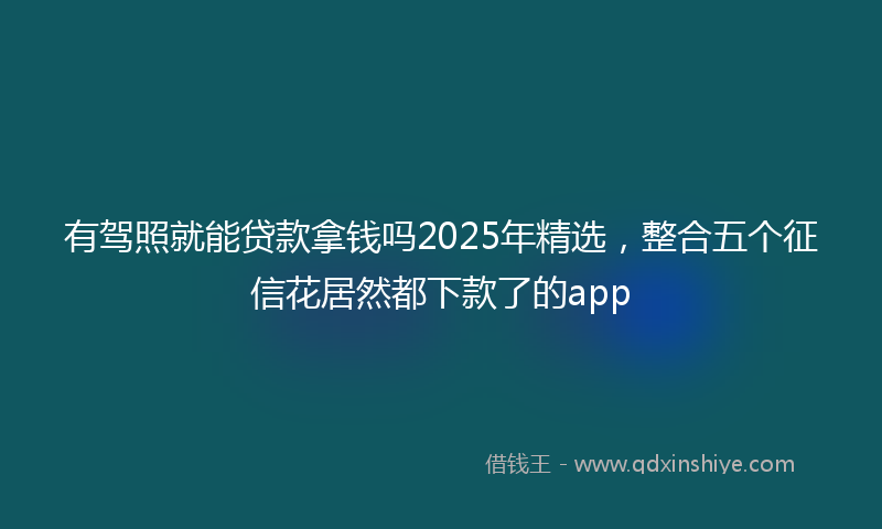 有驾照就能贷款拿钱吗2025年精选，整合五个征信花居然都下款了的app
