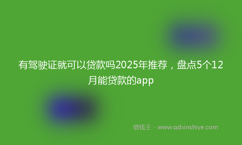 有驾驶证就可以贷款吗2025年推荐，盘点5个12月能贷款的app