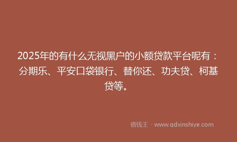 2025年的有什么无视黑户的小额贷款平台呢有：分期乐、平安口袋银行、替你还、功夫贷、柯基贷等。
