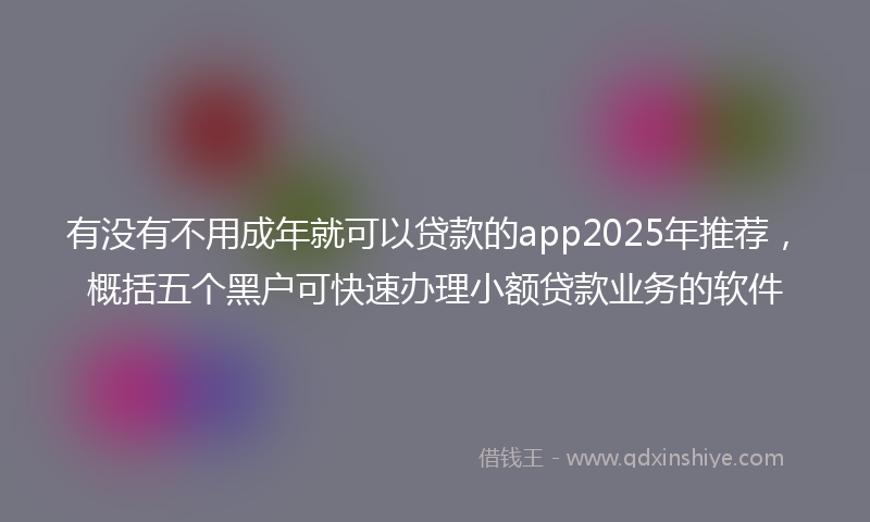 有没有不用成年就可以贷款的app2025年推荐，概括五个黑户可快速办理小额贷款业务的软件