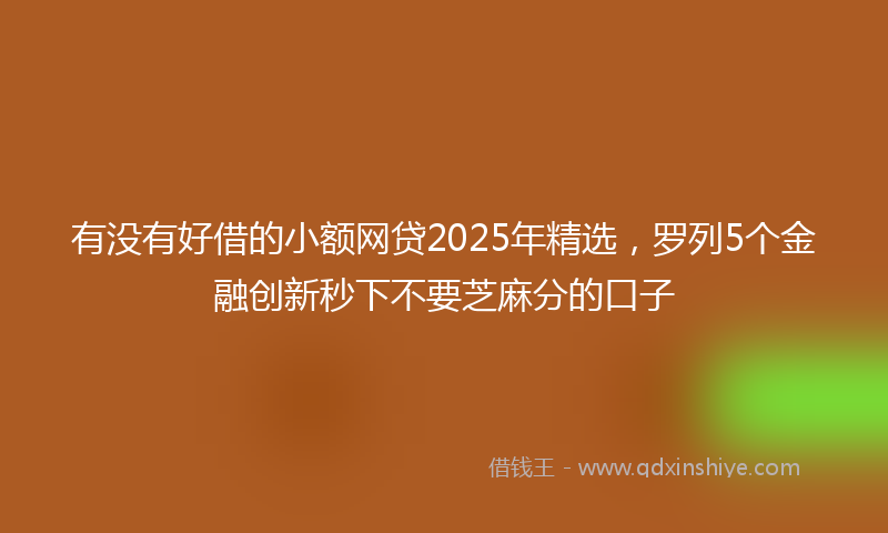 有没有好借的小额网贷2025年精选，罗列5个金融创新秒下不要芝麻分的口子