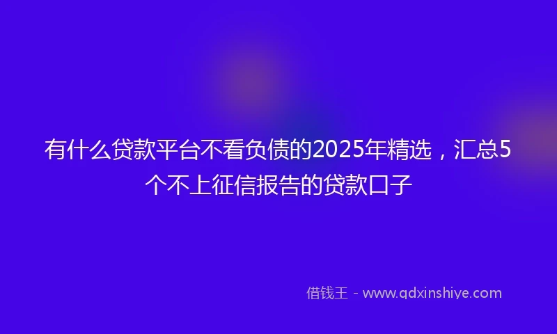 有什么贷款平台不看负债的2025年精选，汇总5个不上征信报告的贷款口子
