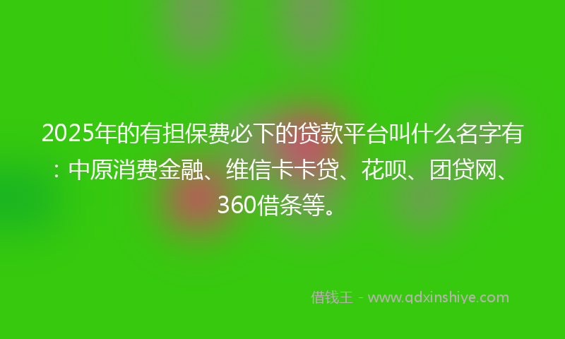 2025年的有担保费必下的贷款平台叫什么名字有：中原消费金融、维信卡卡贷、花呗、团贷网、360借条等。