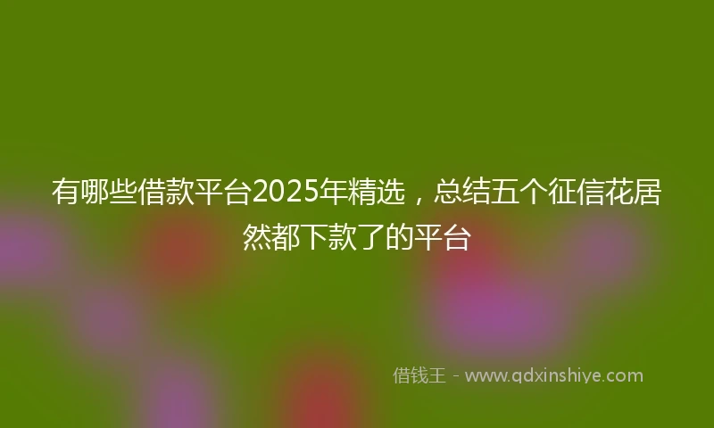 有哪些借款平台2025年精选，总结五个征信花居然都下款了的平台