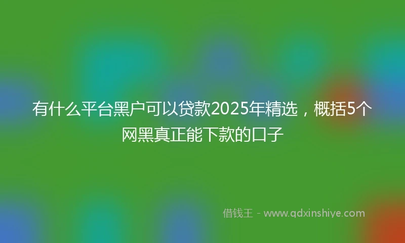 有什么平台黑户可以贷款2025年精选，概括5个网黑真正能下款的口子
