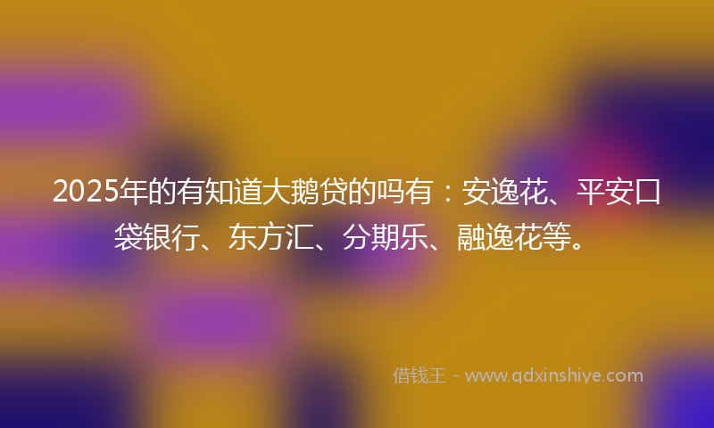 2025年的有知道大鹅贷的吗有：安逸花、平安口袋银行、东方汇、分期乐、融逸花等。