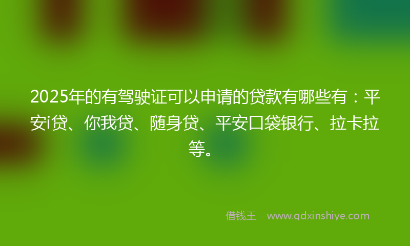 2025年的有驾驶证可以申请的贷款有哪些有：平安i贷、你我贷、随身贷、平安口袋银行、拉卡拉等。