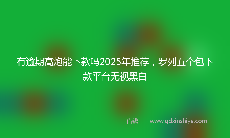 有逾期高炮能下款吗2025年推荐，罗列五个包下款平台无视黑白
