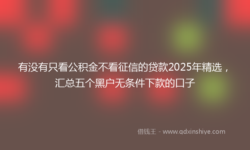 有没有只看公积金不看征信的贷款2025年精选，汇总五个黑户无条件下款的口子