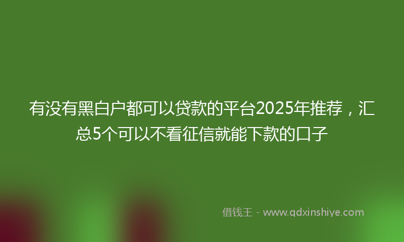 有没有黑白户都可以贷款的平台2025年推荐，汇总5个可以不看征信就能下款的口子