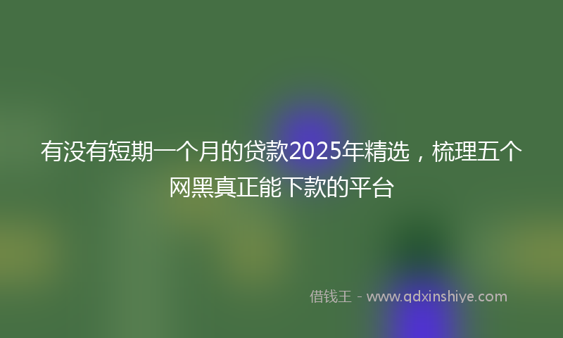 有没有短期一个月的贷款2025年精选，梳理五个网黑真正能下款的平台