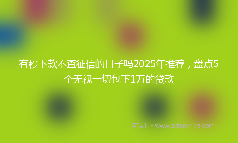 有秒下款不查征信的口子吗2025年推荐，盘点5个无视一切包下1万的贷款