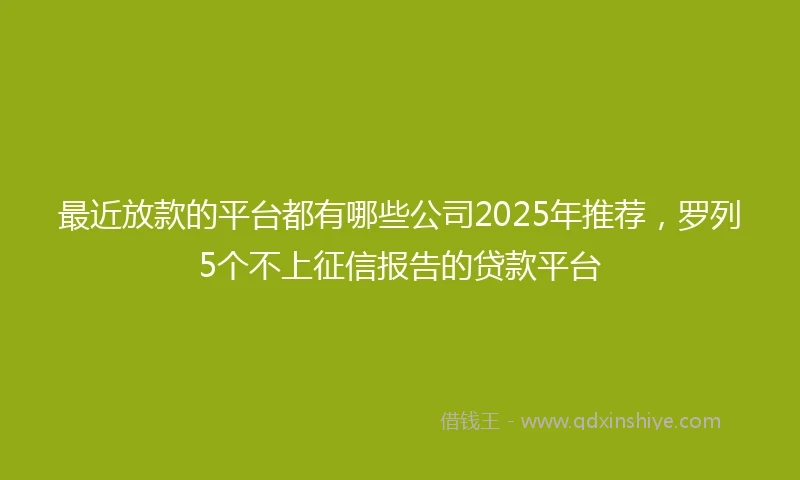 最近放款的平台都有哪些公司2025年推荐，罗列5个不上征信报告的贷款平台