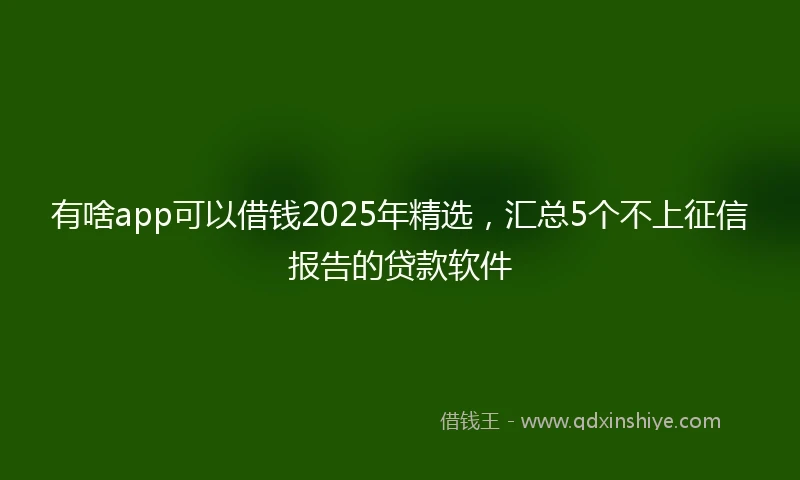 有啥app可以借钱2025年精选,汇总5个不上征信报告的贷款软件