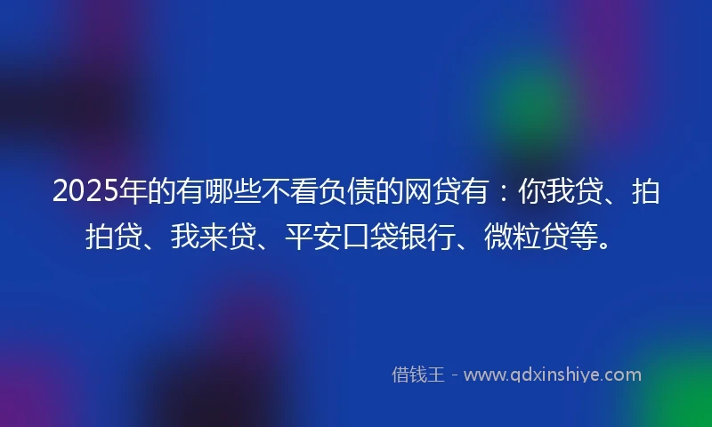 2025年的有哪些不看负债的网贷有：你我贷、拍拍贷、我来贷、平安口袋银行、微粒贷等。