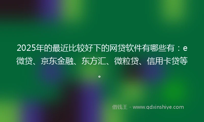 2025年的最近比较好下的网贷软件有哪些有：e微贷、京东金融、东方汇、微粒贷、信用卡贷等。