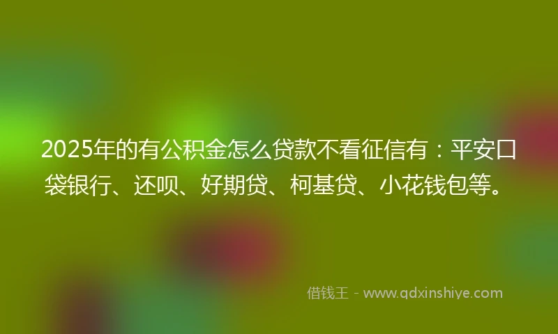 2025年的有公积金怎么贷款不看征信有：平安口袋银行、还呗、好期贷、柯基贷、小花钱包等。