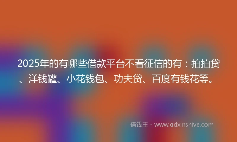 2025年的有哪些借款平台不看征信的有：拍拍贷、洋钱罐、小花钱包、功夫贷、百度有钱花等。