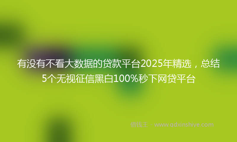 有没有不看大数据的贷款平台2025年精选，总结5个无视征信黑白100%秒下网贷平台